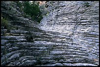 Hiker's Staircase, Pine Spring Canyon. Guadalupe Mountains National Park, Texas, USA. (color)