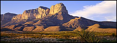 El Capitan cliffs in late afternoon. Guadalupe Mountains National Park (Panoramic color)