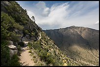 Guadalupe Peak Trail. Guadalupe Mountains National Park ( color)