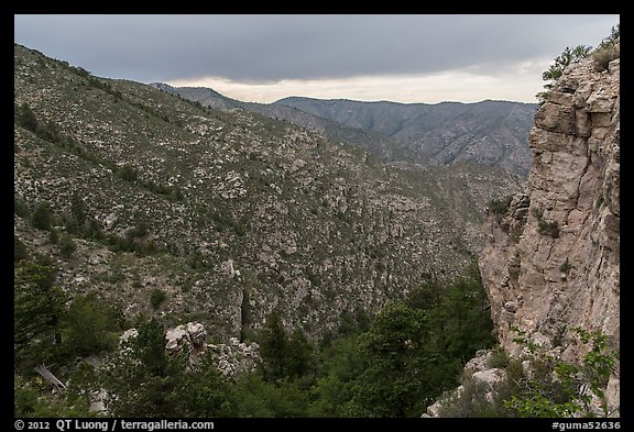 Cliffs and forested slopes, approaching storm. Guadalupe Mountains National Park (color)