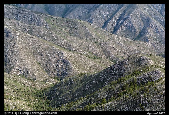 Ridges from fossil Reef. Guadalupe Mountains National Park, Texas, USA.