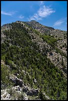 Guadalupe Peak and forested slopes. Guadalupe Mountains National Park ( color)