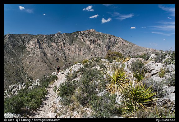 Hiker on trail above Pine Spring Canyon. Guadalupe Mountains National Park, Texas, USA.