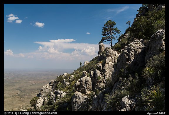Slopes with trees and rocks high above plain. Guadalupe Mountains National Park, Texas, USA.