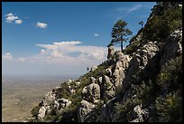 Slopes with trees and rocks high above plain. Guadalupe Mountains National Park ( color)