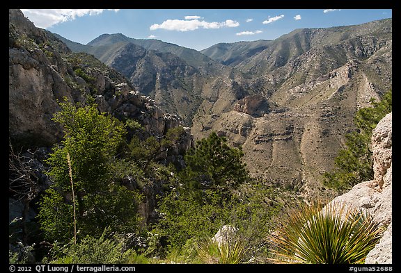 Pine Spring Canyon from above. Guadalupe Mountains National Park (color)