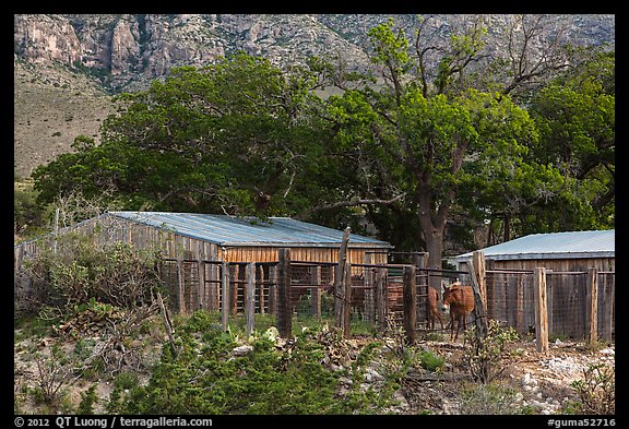 Frijole Ranch stables. Guadalupe Mountains National Park, Texas, USA.