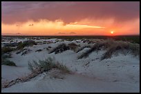 Storm light and virga streaks across the sky as the sun sets beyond pale gypsum dunes. Guadalupe Mountains National Park ( color)