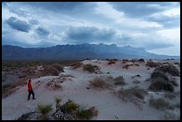 Visitor looking, Salt Basin Dunes beneath a dark, building storm. Guadalupe Mountains National Park ( color)