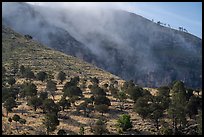Fog drifting through rugged cliffs, Dog Canyon. Guadalupe Mountains National Park ( color)