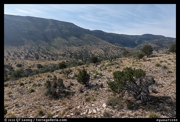 Dog Canyon. Guadalupe Mountains National Park (color)