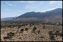 Guadalupe Mountains from Dog Canyon. Guadalupe Mountains National Park ( color)
