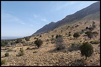 Guadalupe Mountains eastern escarpment from Dog Canyon. Guadalupe Mountains National Park ( color)