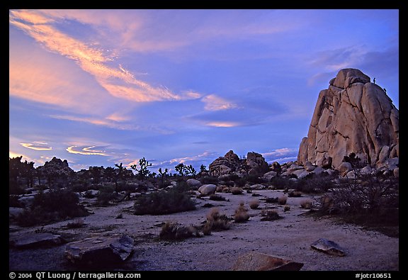 Landscape with climbers at sunset. Joshua Tree National Park, California, USA.