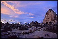 Landscape with climbers at sunset. Joshua Tree National Park, California, USA. (color)