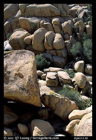 Jumble of rocks in Hidden Valley. Joshua Tree National Park, California, USA.