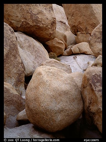Boulders close-up, Hidden Valley. Joshua Tree National Park (color)