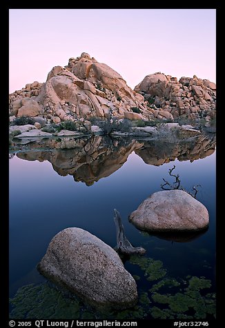 Rockpiles and reflections, Barker Dam, dawn. Joshua Tree National Park, California, USA.