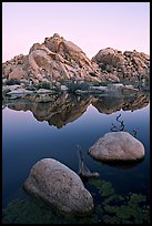 Rockpiles and reflections, Barker Dam, dawn. Joshua Tree National Park, California, USA. (color)