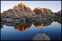 Rocks reflected in reservoir, Barker Dam, sunrise. Joshua Tree National Park, California, USA.