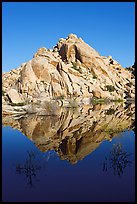 Rock formations reflected in Barker Dam Pond, morning. Joshua Tree National Park, California, USA. (color)