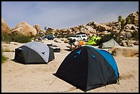 Tents, Hidden Valley Campground. Joshua Tree National Park, California, USA. (color)
