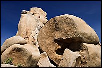Rocks with climbers in a distance. Joshua Tree National Park ( color)