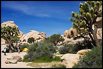 Campers, Hidden Valley Campground. Joshua Tree National Park, California, USA. (color)