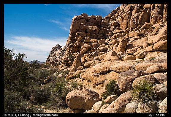 Towering rock formations around Hidden Valley. Joshua Tree National Park, California, USA.