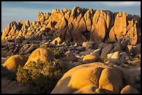 Rock wall with marble rocks at sunset, Jumbo Rocks. Joshua Tree National Park ( color)