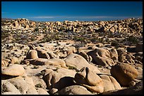 Landscape of rocks, White Tank. Joshua Tree National Park ( color)