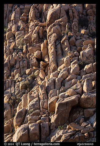 Massive boulder pile, Indian Cove. Joshua Tree National Park (color)