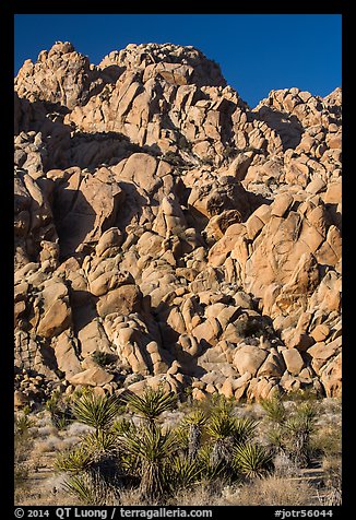 Wall of boulders, Indian Cove. Joshua Tree National Park (color)