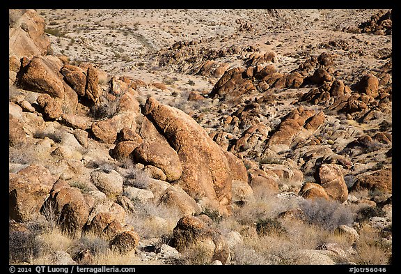 Rocks and desert slope. Joshua Tree National Park (color)
