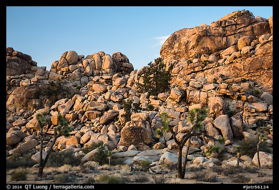 Joshua trees and tall rock outcrops. Joshua Tree National Park (color)