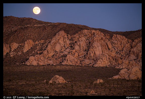 Moon rising about mountains. Joshua Tree National Park (color)