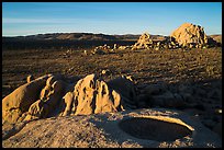 View from top of rock over Joshua Tree plain. Joshua Tree National Park ( color)