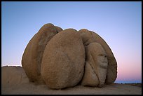 Group of boulders with sphynx head at dawn. Joshua Tree National Park ( color)