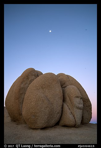 Group of boulders with sphynx and moon at dawn. Joshua Tree National Park (color)