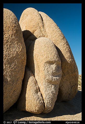 Sphynx-shaped boulder. Joshua Tree National Park (color)