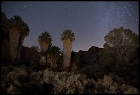 Cottonwood Spring Oasis at night. Joshua Tree National Park ( color)