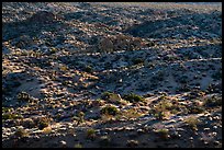 Desert ridges. Joshua Tree National Park ( color)