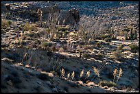 Ridges with desert vegetation. Joshua Tree National Park ( color)