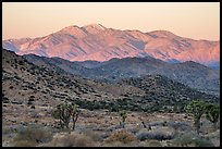 San Gorgonio from Black Rock Canyon, sunrise. Joshua Tree National Park ( color)