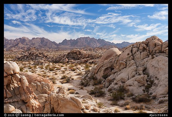 Coxcomb Mountains. Joshua Tree National Park (color)