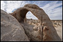 Scorpius Arch rising above desert flats. Joshua Tree National Park ( color)