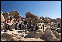 Visitors waiting turn for picture. Joshua Tree National Park ( color)