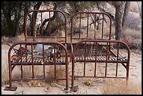 Bed frames. Joshua Tree National Park ( color)