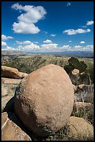 Round boulder, Rincon Mountains foothills. Saguaro National Park ( color)