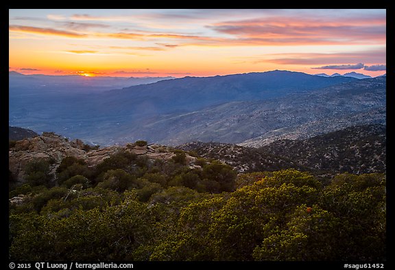 Sunset from Rincon mountains. Saguaro National Park (color)